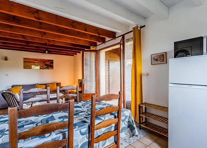 Maison Mitoyenne à Sanguinet, Proche Lac, Avec Jardin Et Wi-fi - Fr-1-521-269 Sanguinet